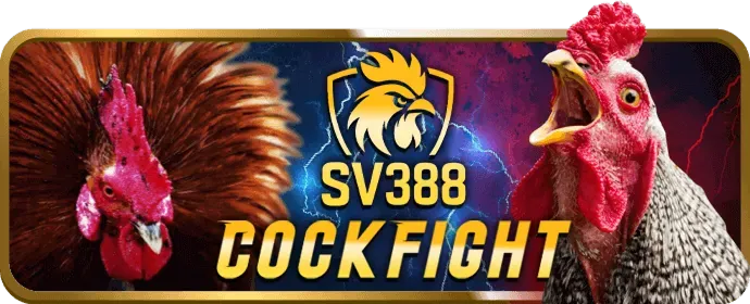 Ưu đãi đăng ký mới đá gà