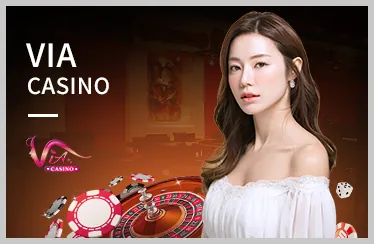 Điều khoản sử dụng Visabet Code
